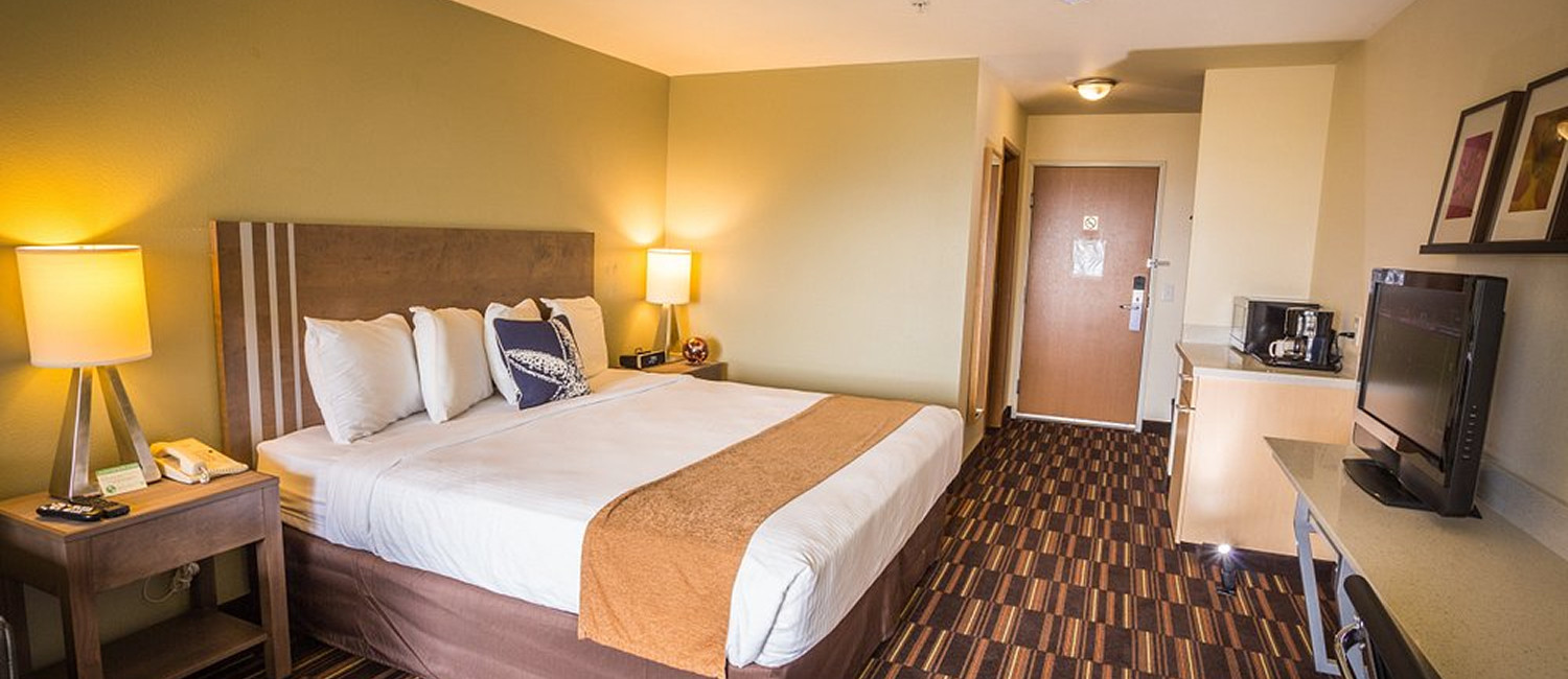 Relax In Our Comforting Guest Rooms