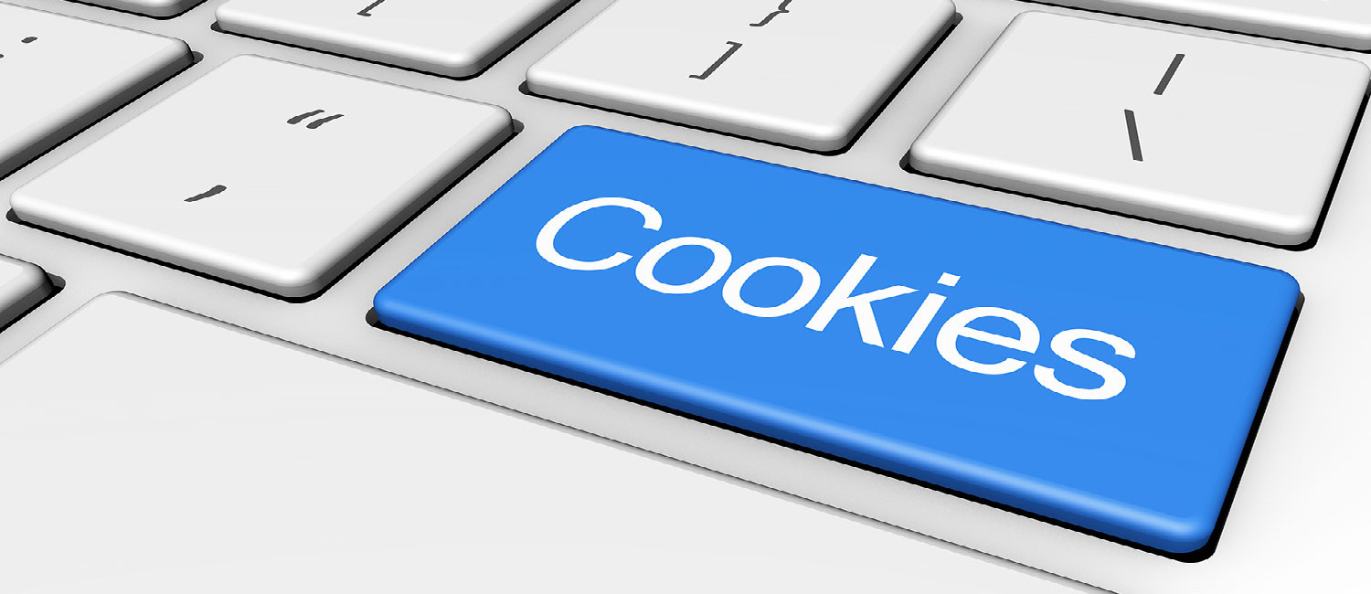 Website Cookie Policy For Inn At Wecoma