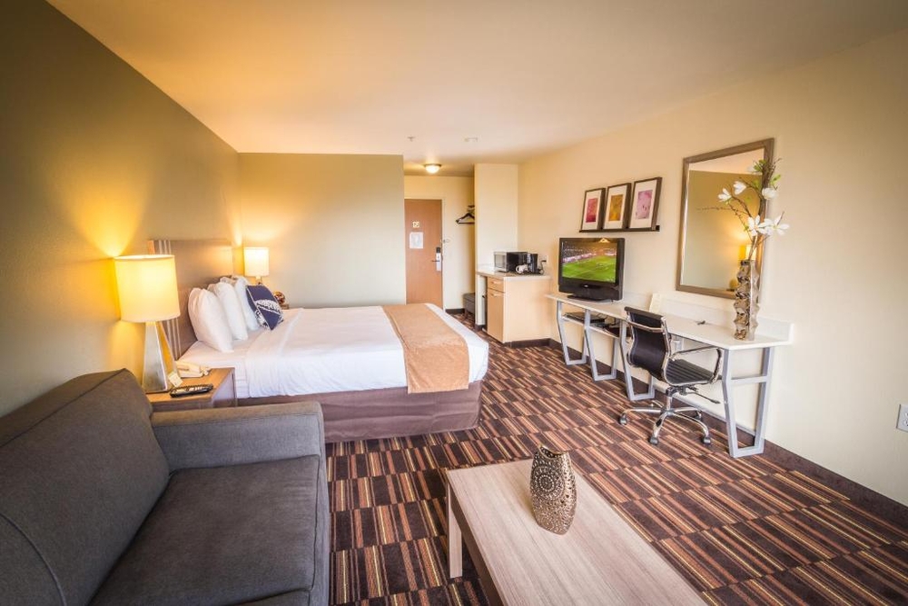 One Bedroom Suite